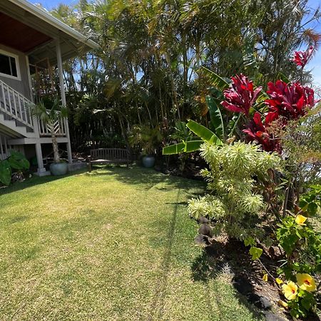 Private Ohana On The Lush Hamakua Coast With Ac Honokaa Exterior photo