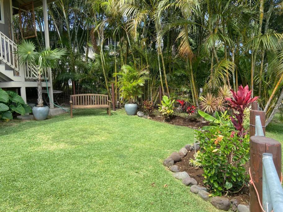 Private Ohana On The Lush Hamakua Coast With Ac Honokaa Exterior photo