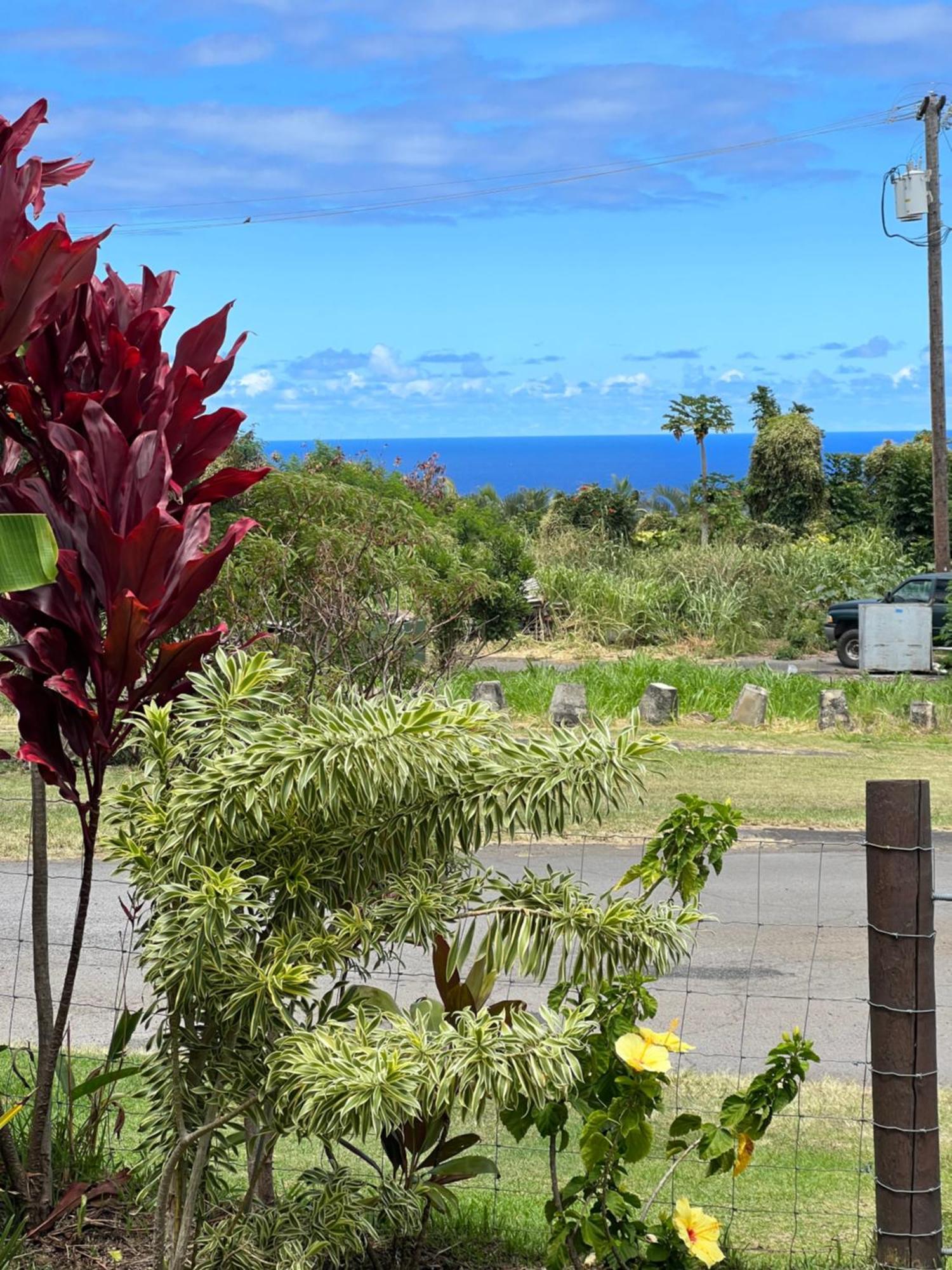 Private Ohana On The Lush Hamakua Coast With Ac Honokaa Exterior photo