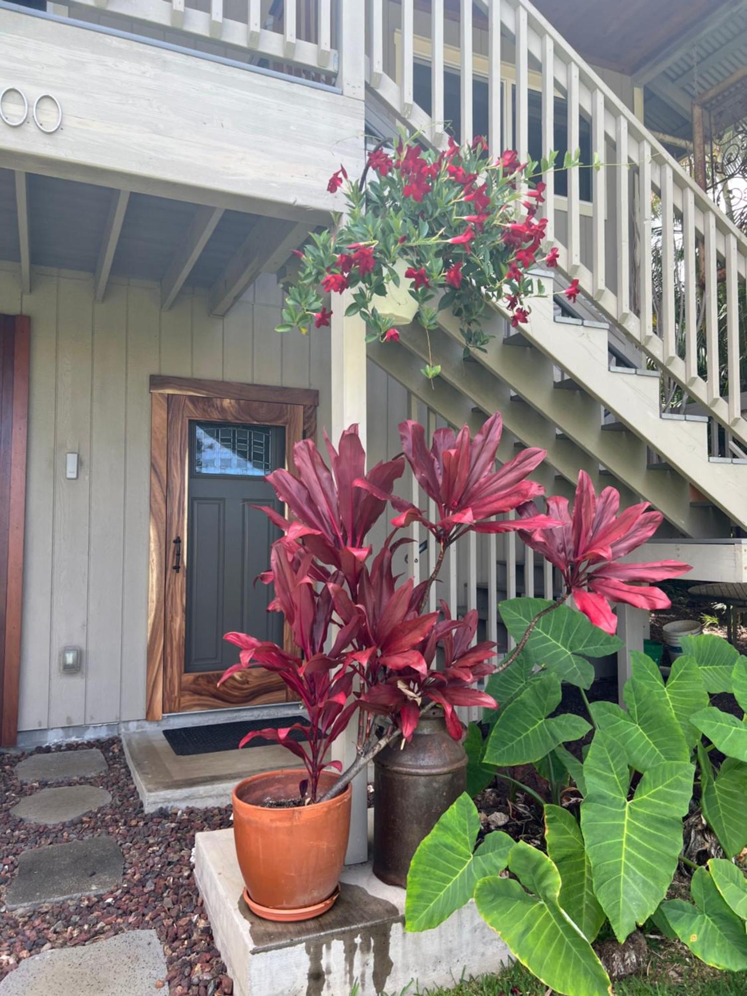 Private Ohana On The Lush Hamakua Coast With Ac Honokaa Exterior photo