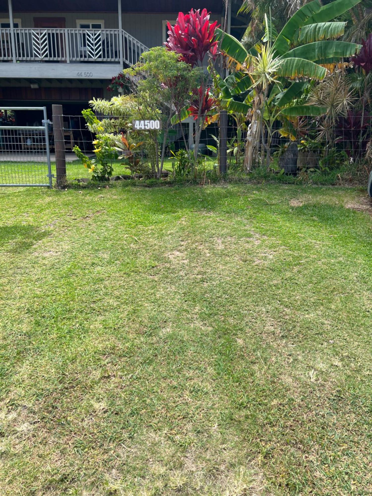 Private Ohana On The Lush Hamakua Coast With Ac Honokaa Exterior photo